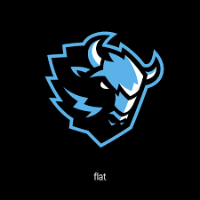 Фото:Динамо Минск