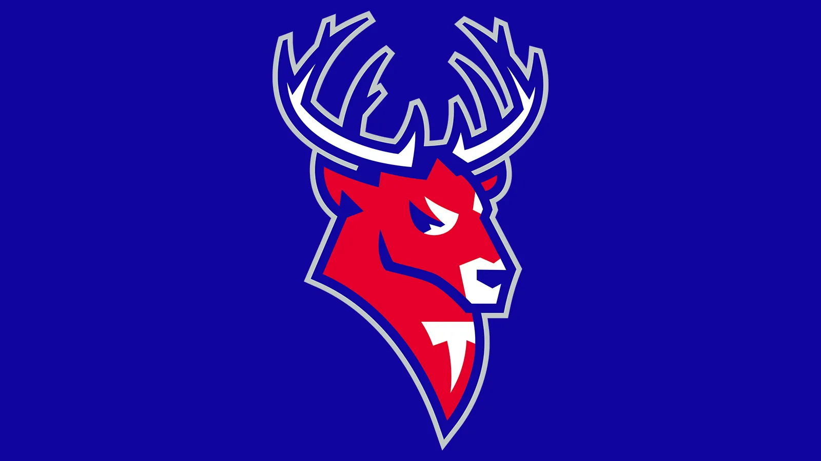 Фото:Торпедо