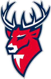 Фото:Торпедо