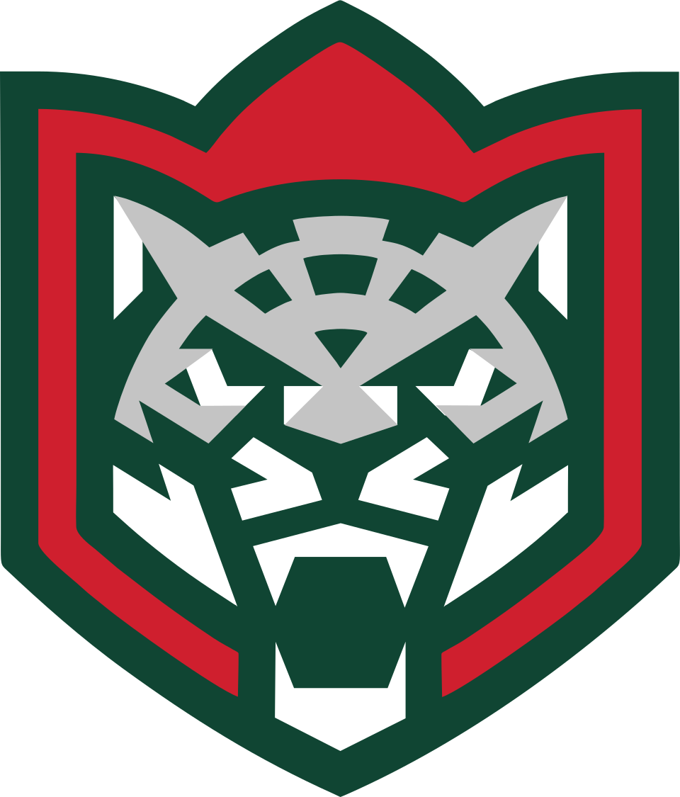 Фото:Ак Барс