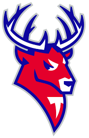 Фото:Торпедо