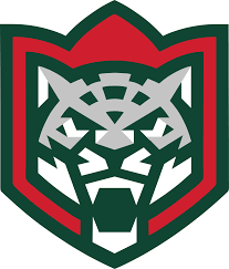 Фото:Ак Барс