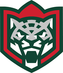 Фото:Ак Барс