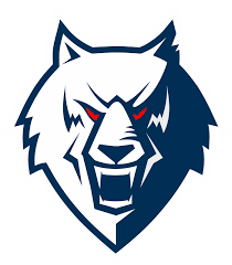 Фото:Нефтехимик