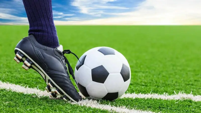 Сколько заработали в еврокубках